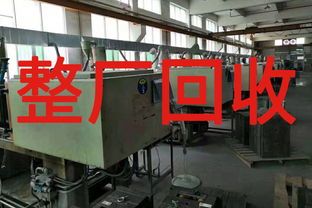 明智之選 如何嚴(yán)謹(jǐn)評(píng)估東莞整廠回收與寄賣(mài)服務(wù)方案
